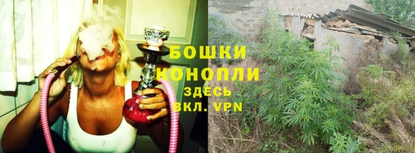 PSILOCYBIN Абдулино
